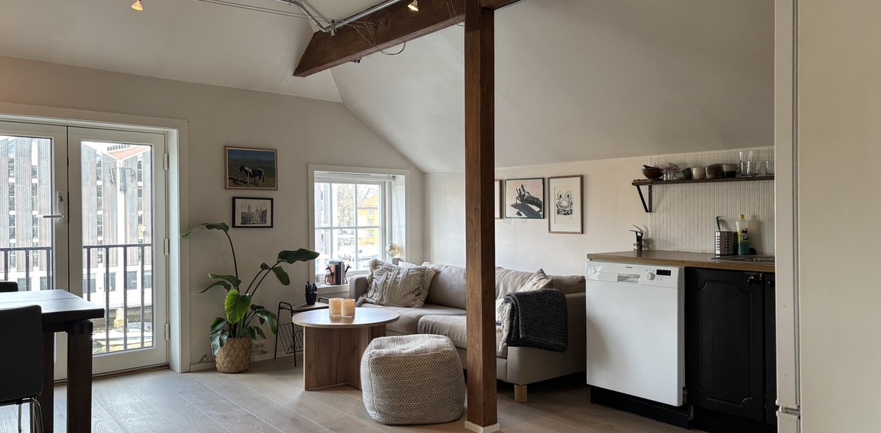 Lys og praktisk leiligheter, perfekt for et par