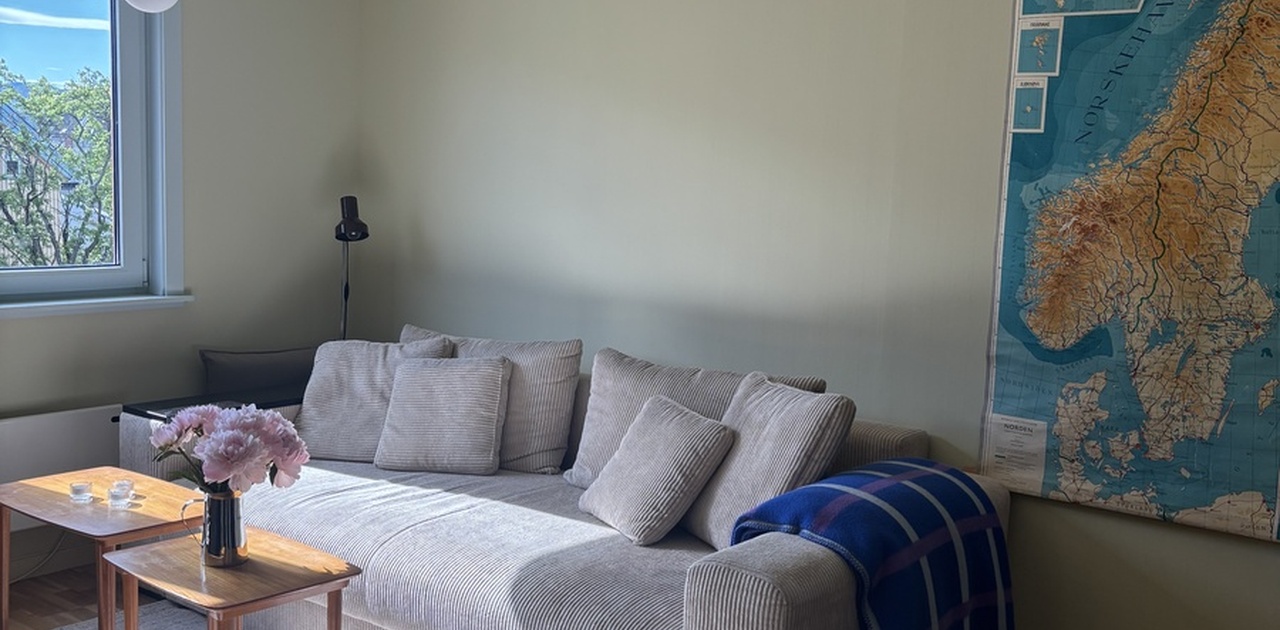 Lys og innbydende leilighet på Lademoen.