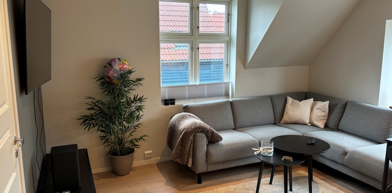 Totalrenovert bolig med sofakrok, TV og spisebord