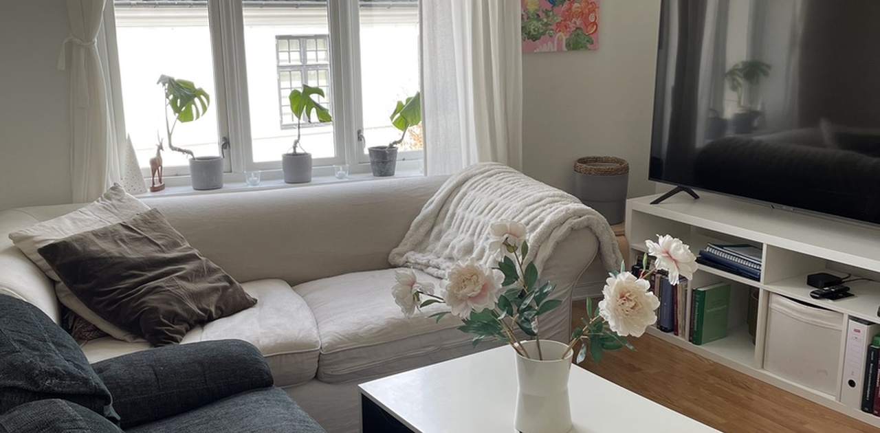 Koselig stue med nydelig utsikt