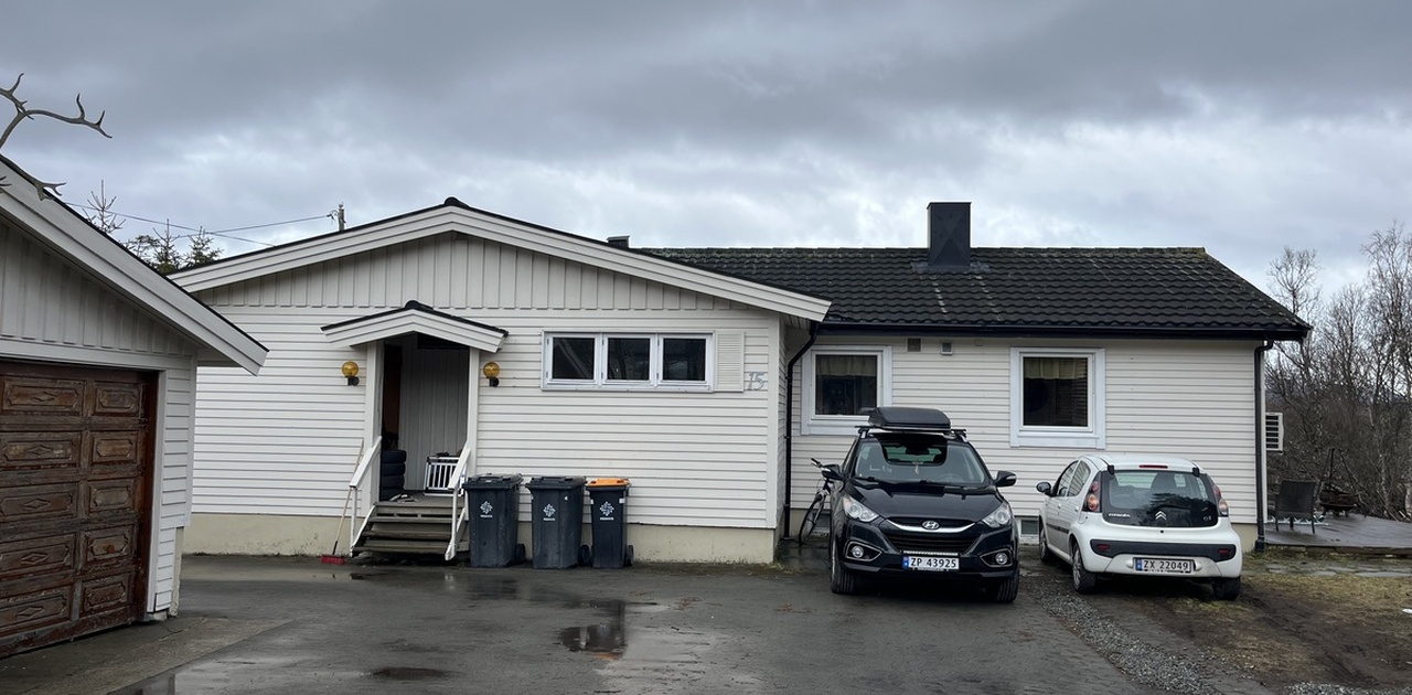 Inngangspartiet