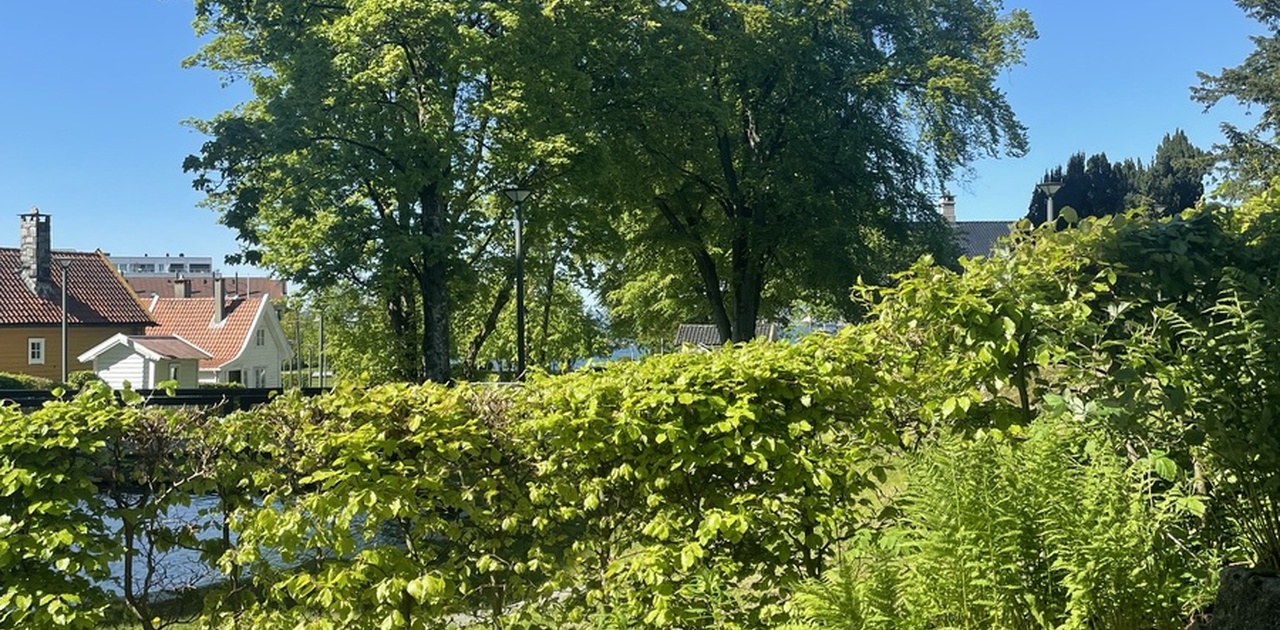 Utsikten fra frokostbordet