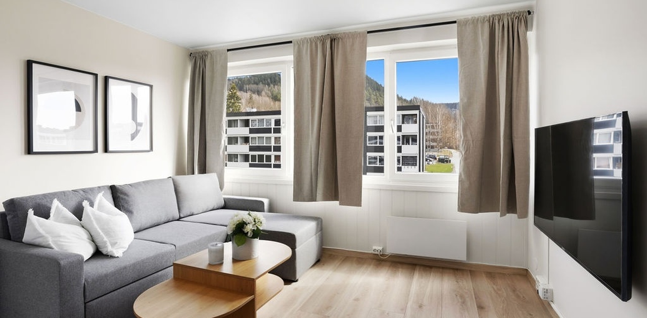 Møblert med sovesofa