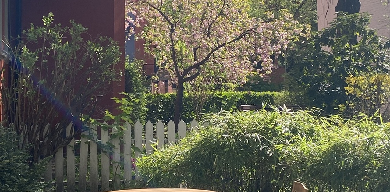 Veldig hyggelig felles bakgård.