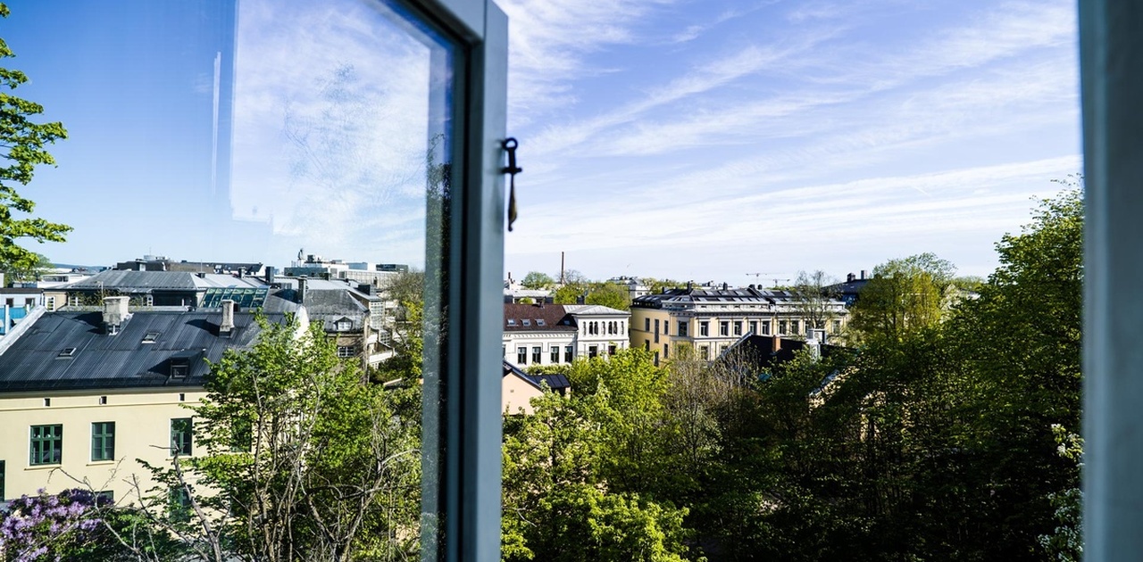 Utsikt sydover i retning Slottet