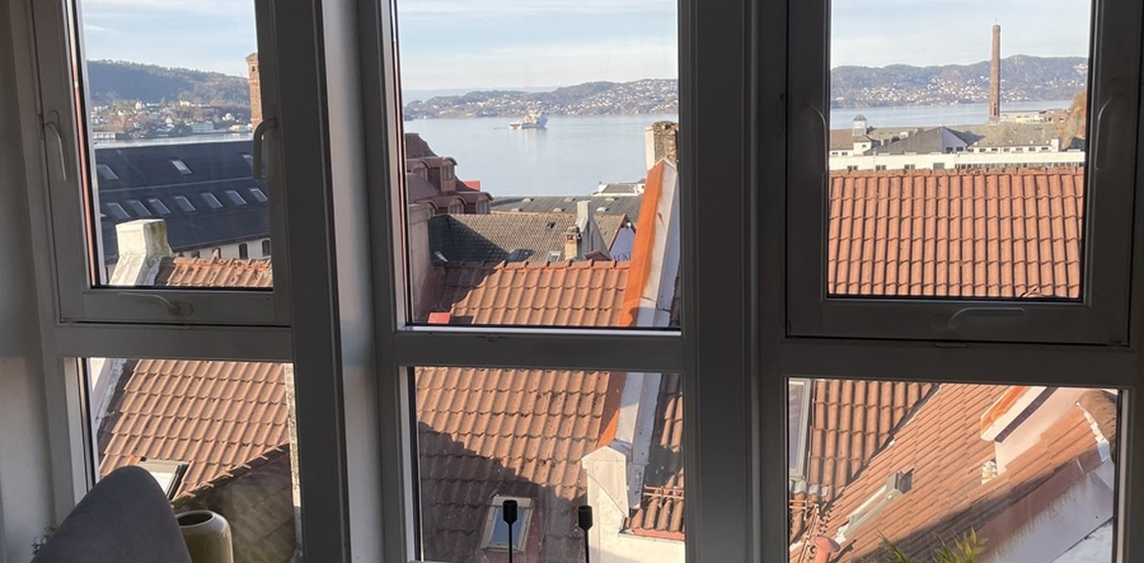 utsikt fra spisebord på kjøkken
