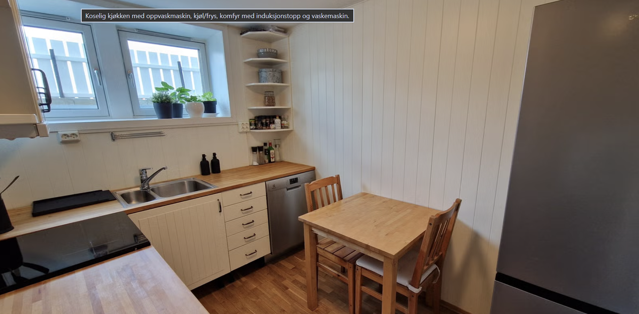Koselig kjøkken med oppvaskmaskin, kjøl/frys, komfyr med induksjonsyopp og vaskemaskin.