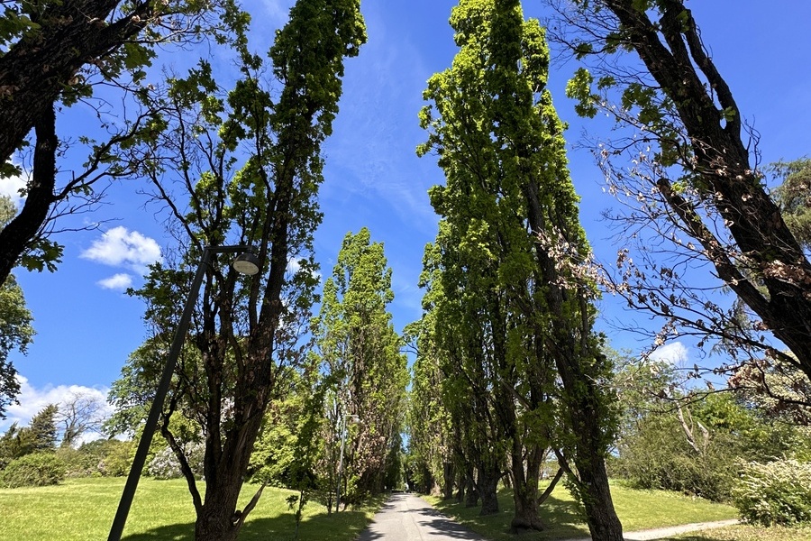 Leilighet, 2 roms