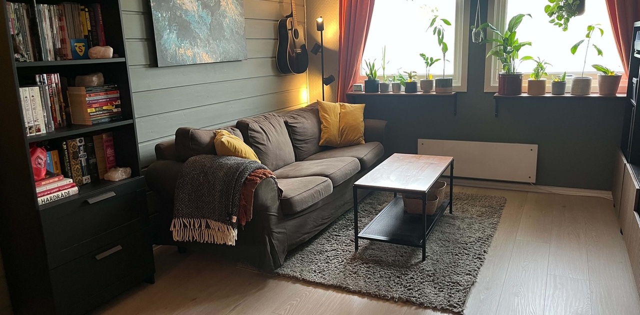 Stue med godt innslipp av lys