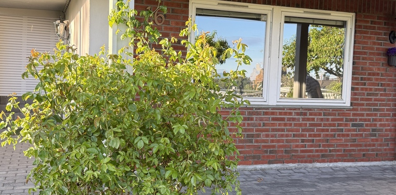 På utsiden