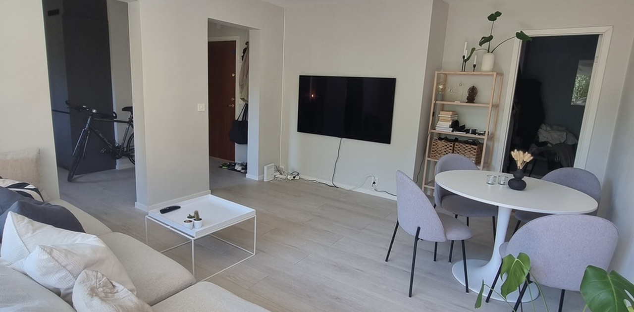 Stue med sofa, veggehengt 65 tommer TV