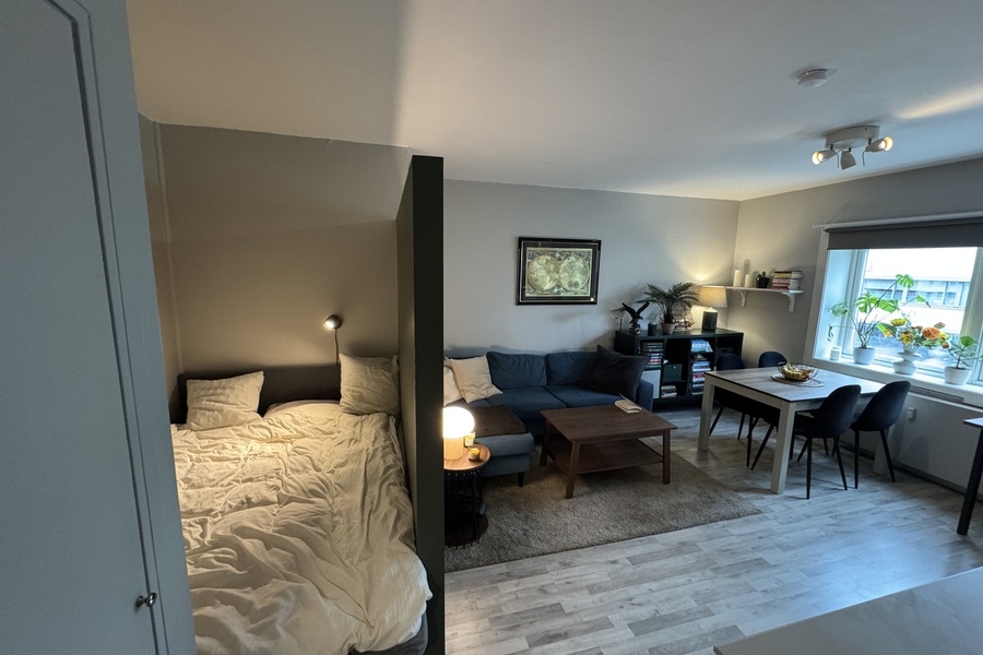 Leilighet, 1 roms