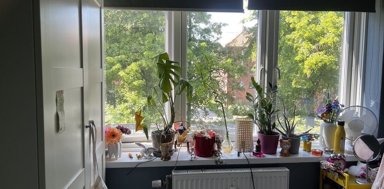 Store vinduer som gir sollys hele dagen