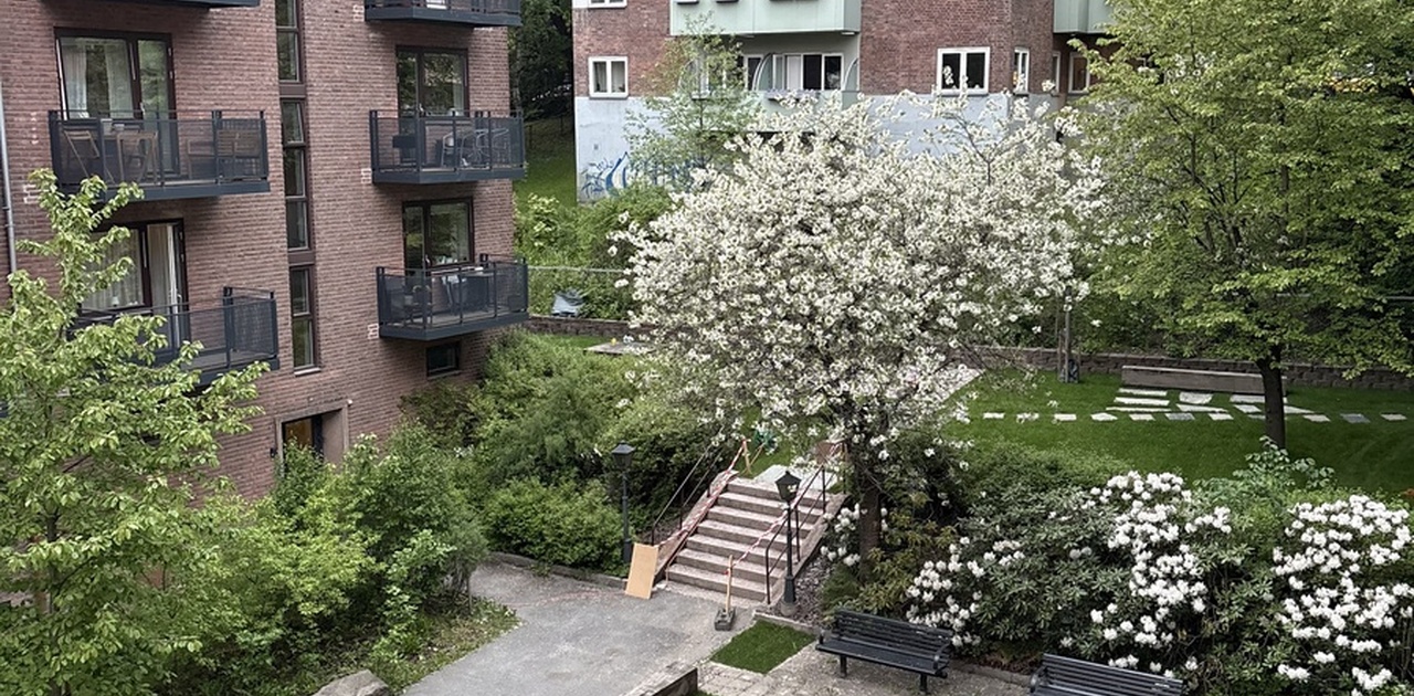 Bakgården