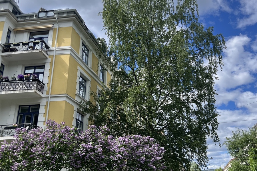Rom i bofellesskap