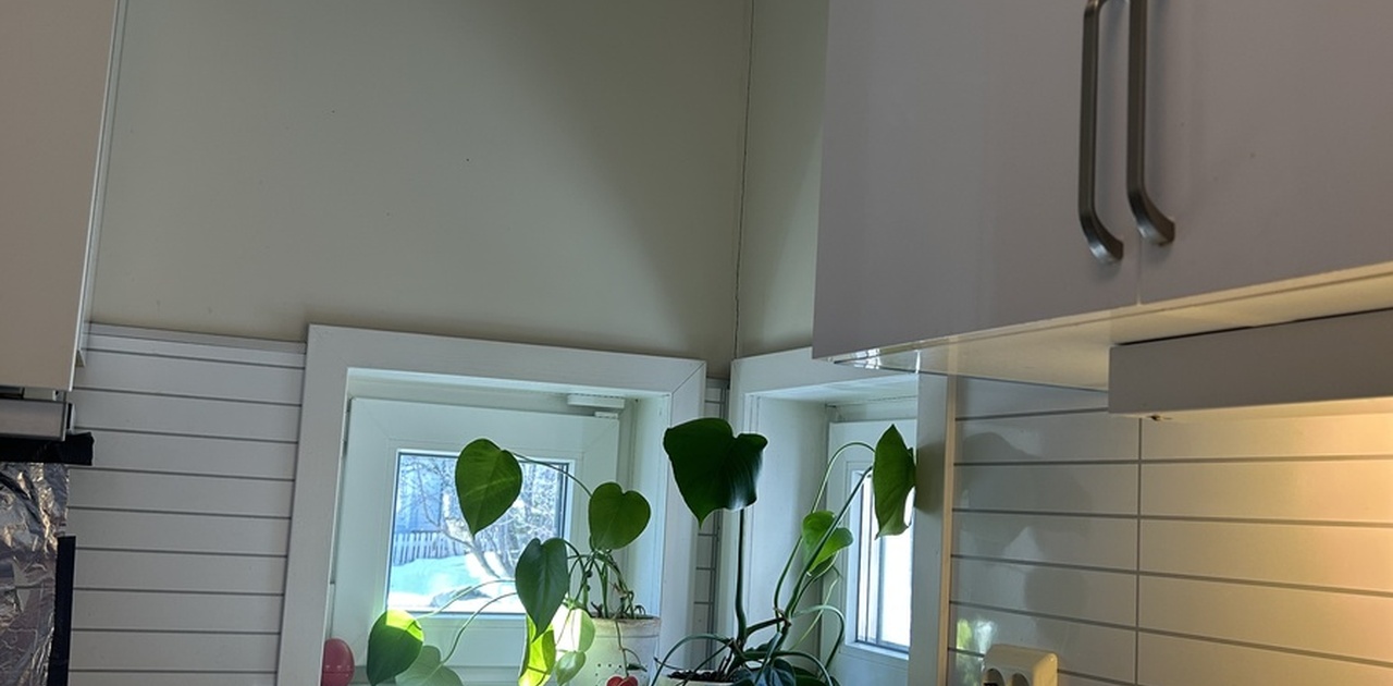 kjøkken