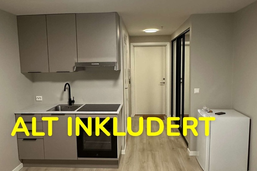 Leilighet, 1 roms