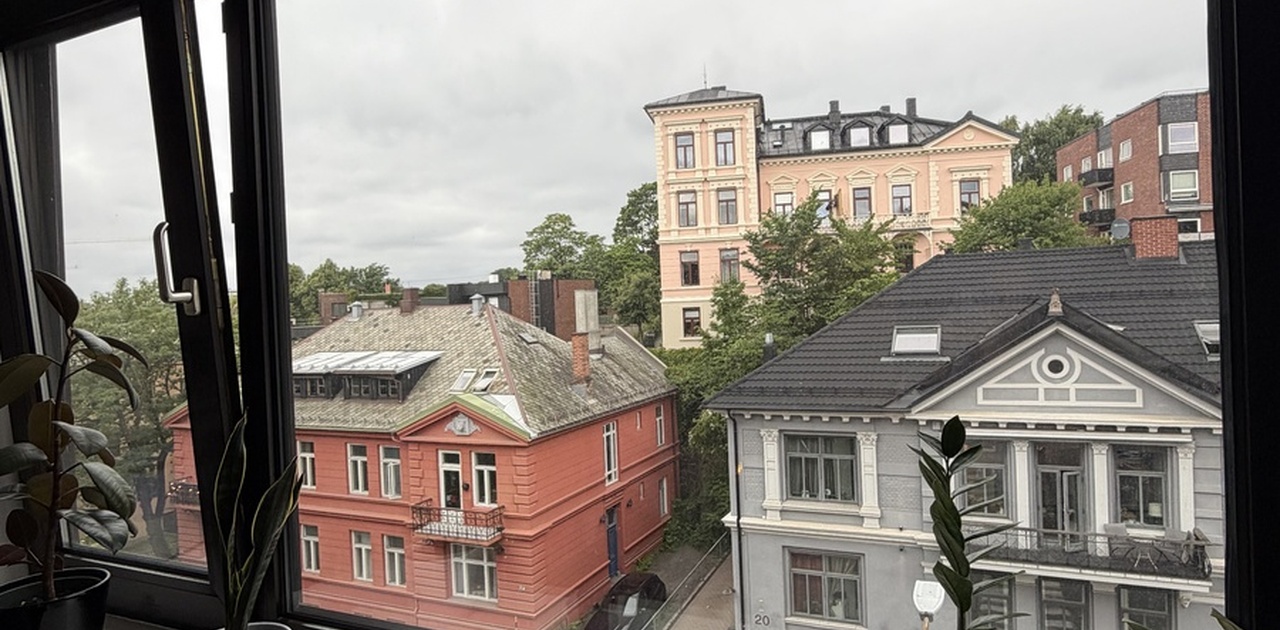 Utsikt fra stuen