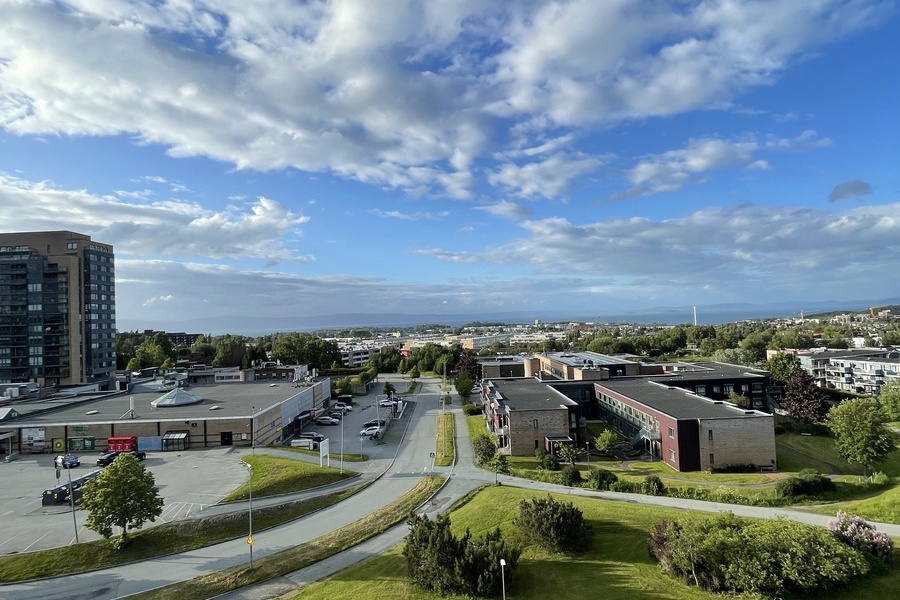 Rom i bofellesskap