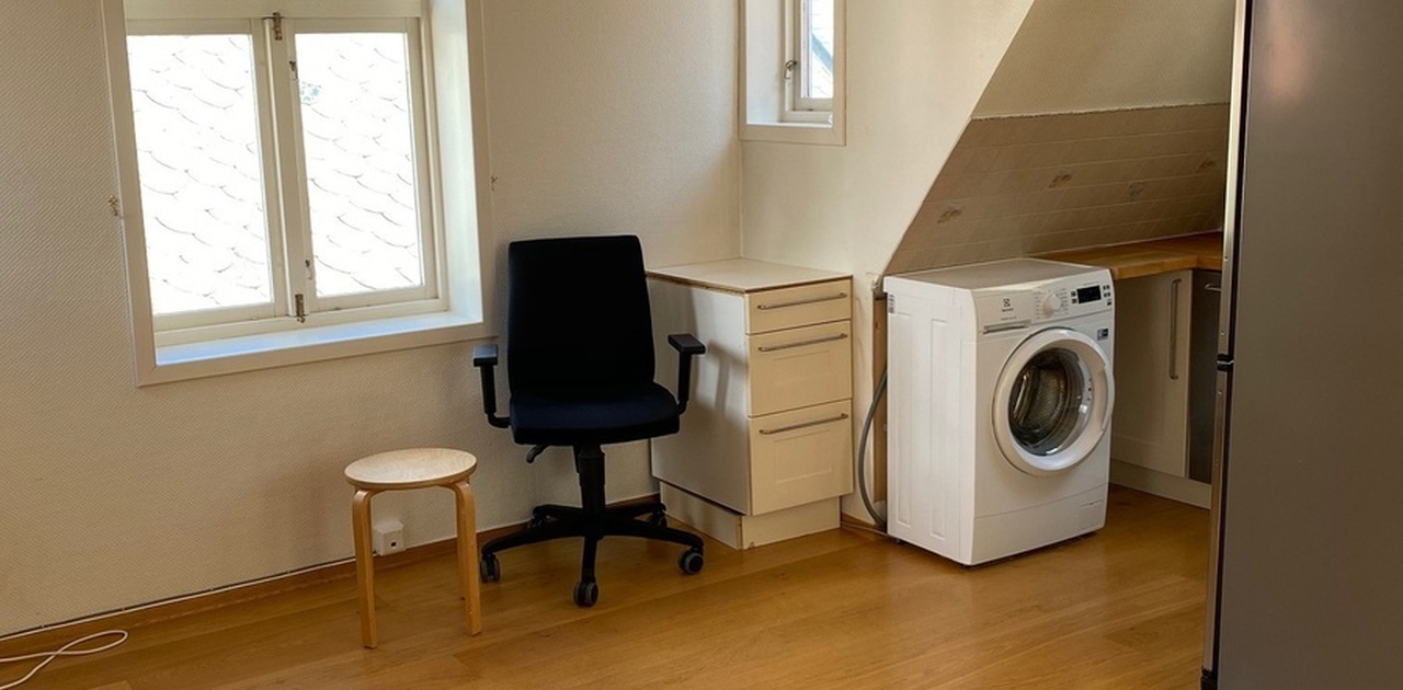 Stue og kjøkken med vaskemaskin