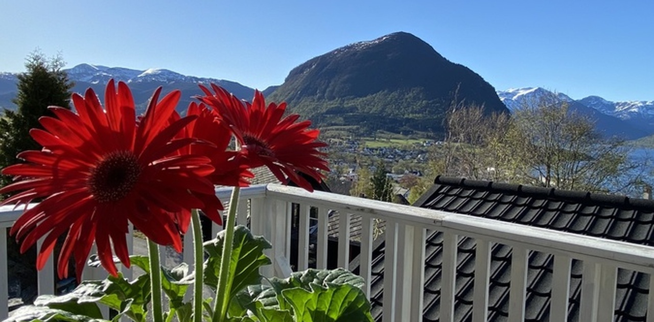 Morgenkaffe på terrassen med utsikt over Volda