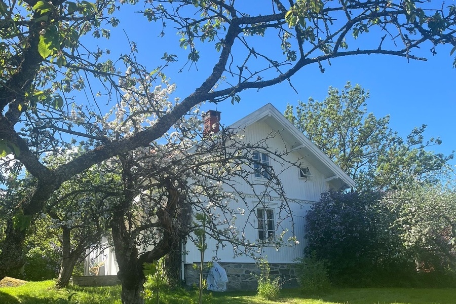 Rom i bofellesskap