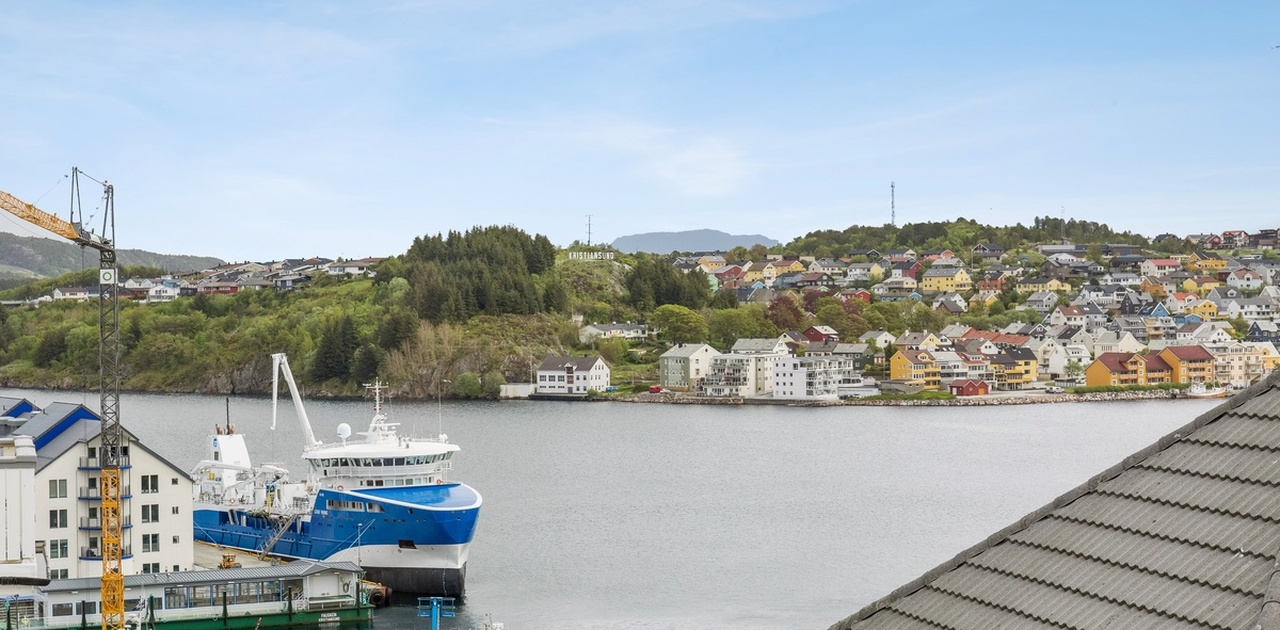 Fantastisk utsikt fra stue.