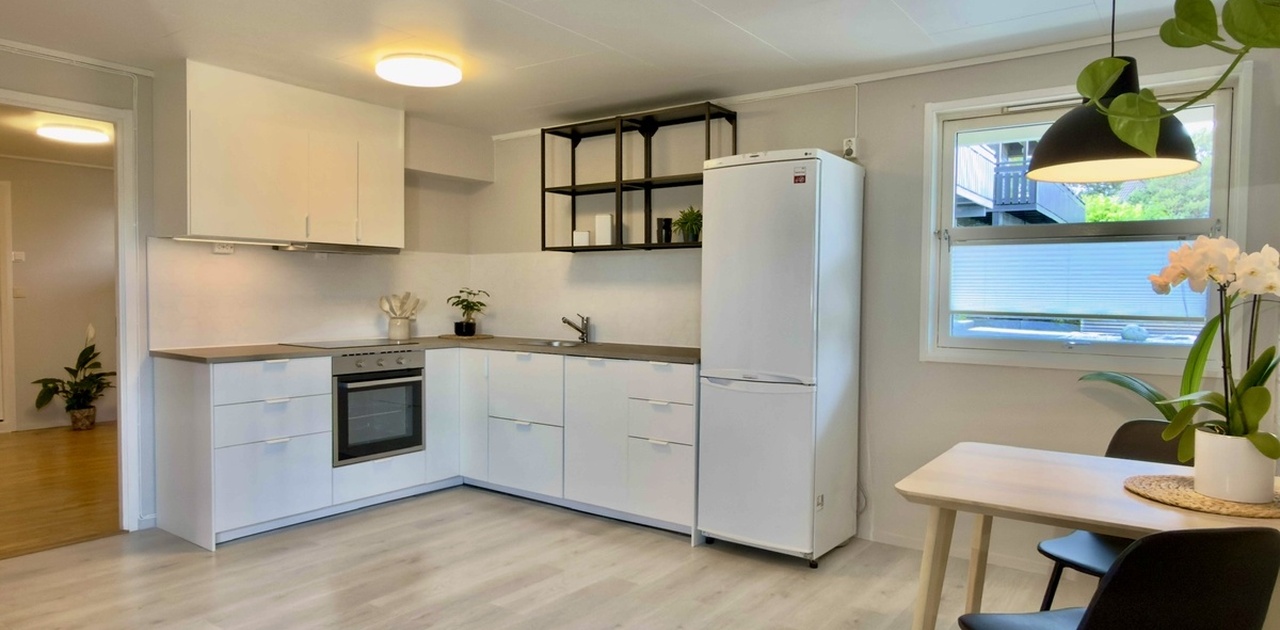 Nytt kjøkken fra IKEA med induksjonstopp, stekeovn med varmluft, oppvaskmaskin.