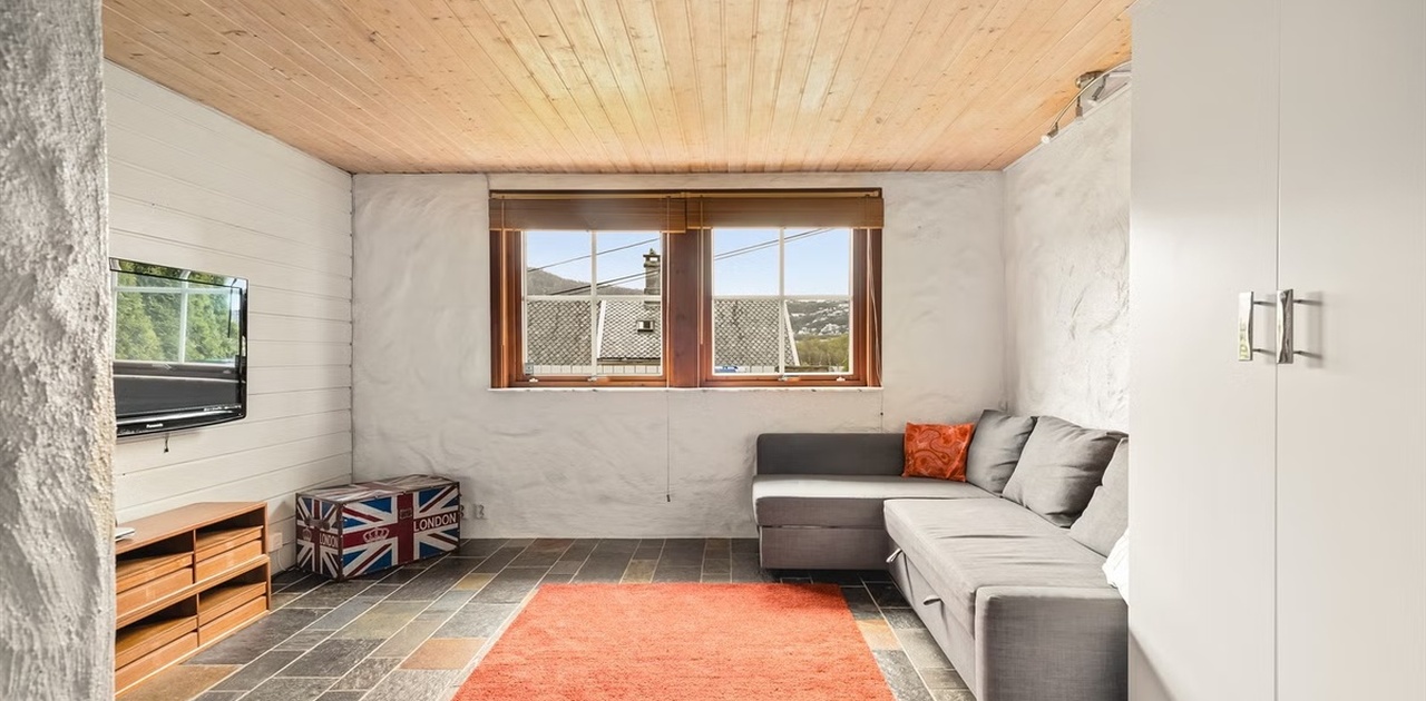 Stue med lun atmosfære, tv og stor sofa (sovesofa).