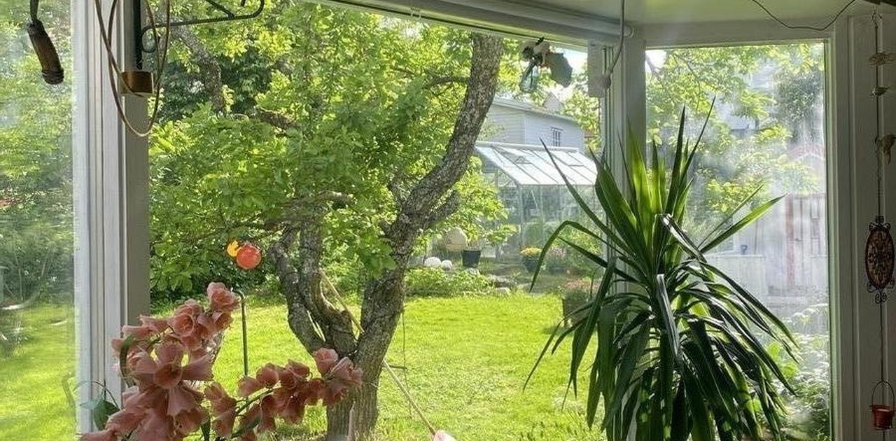 Big Windows = lots of light