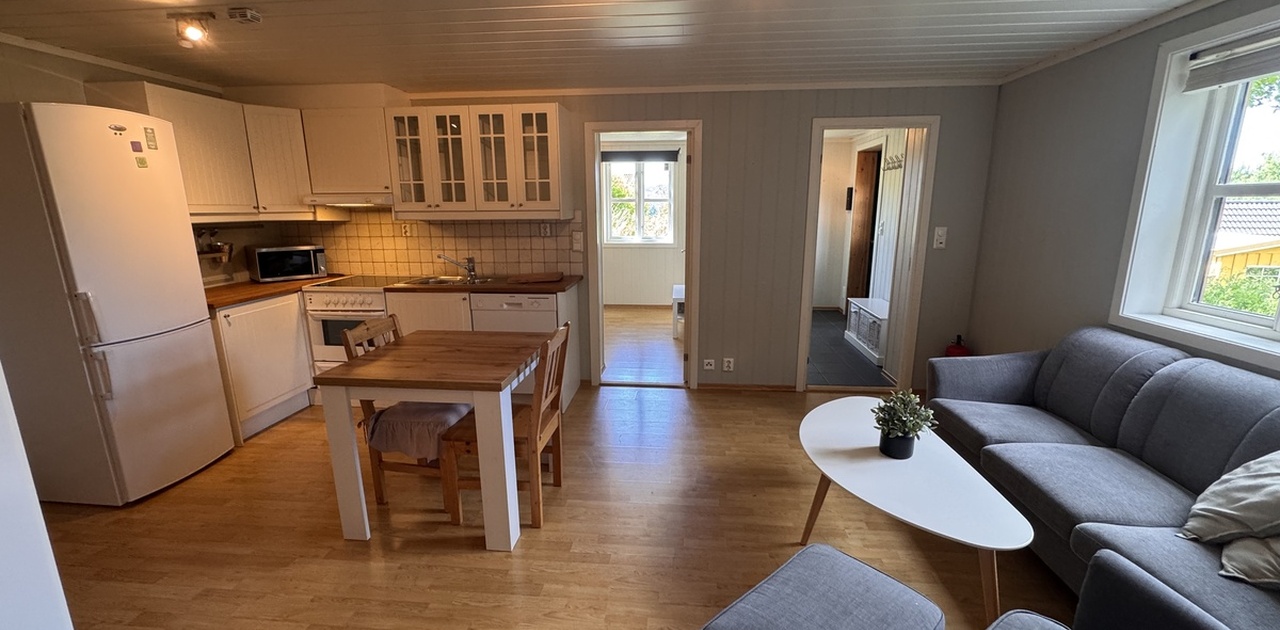 Stue/kjøkken