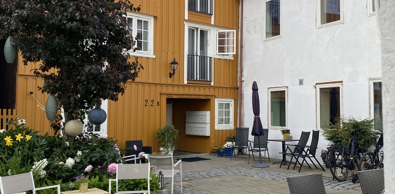 Bakgård