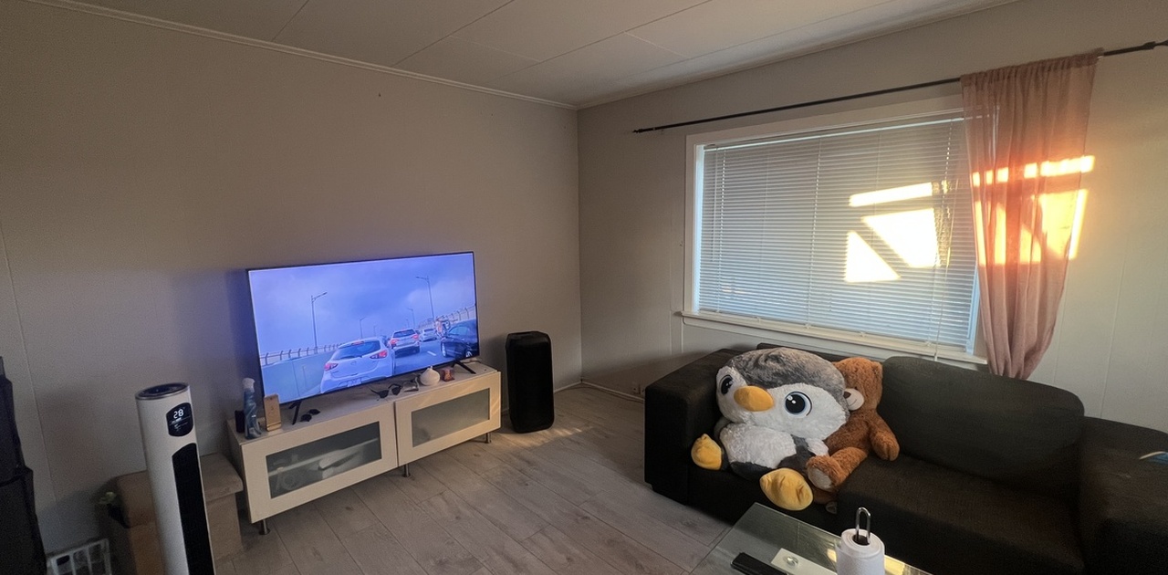 Tv/Stue
