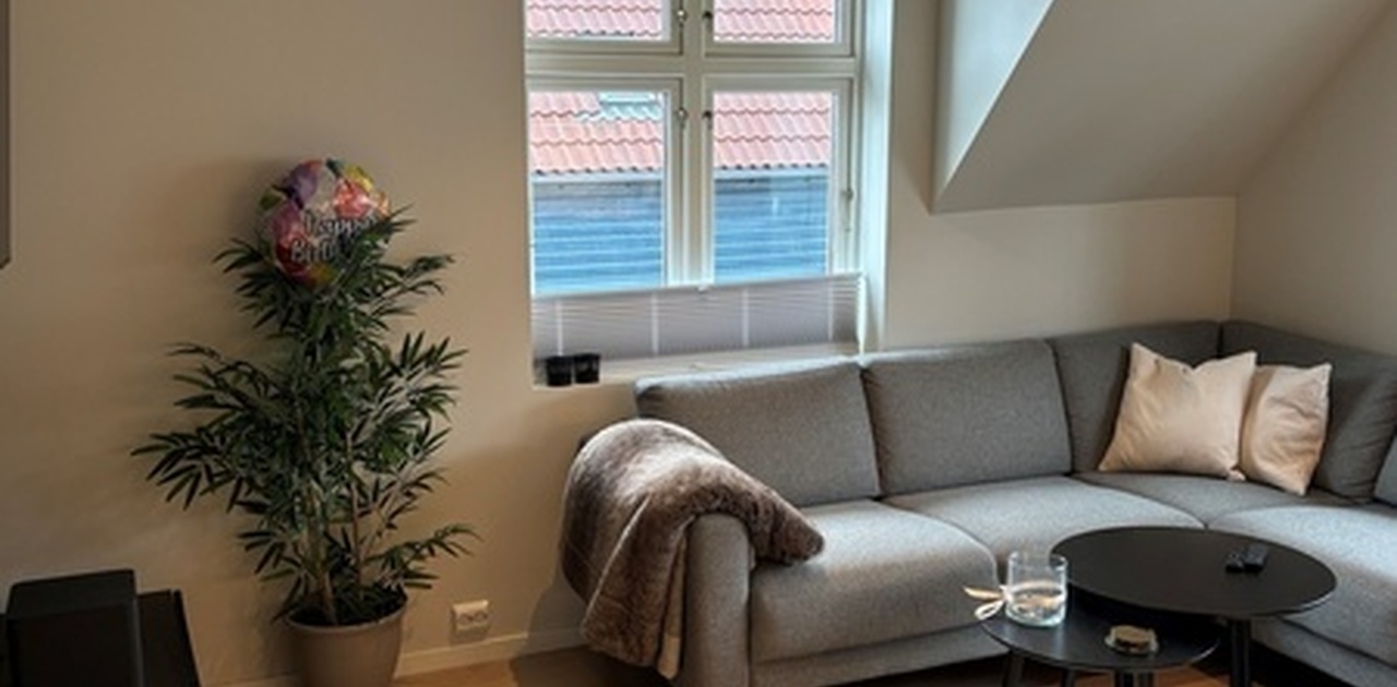 Totalrenovert bolig med sofakrok, TV og spisebord