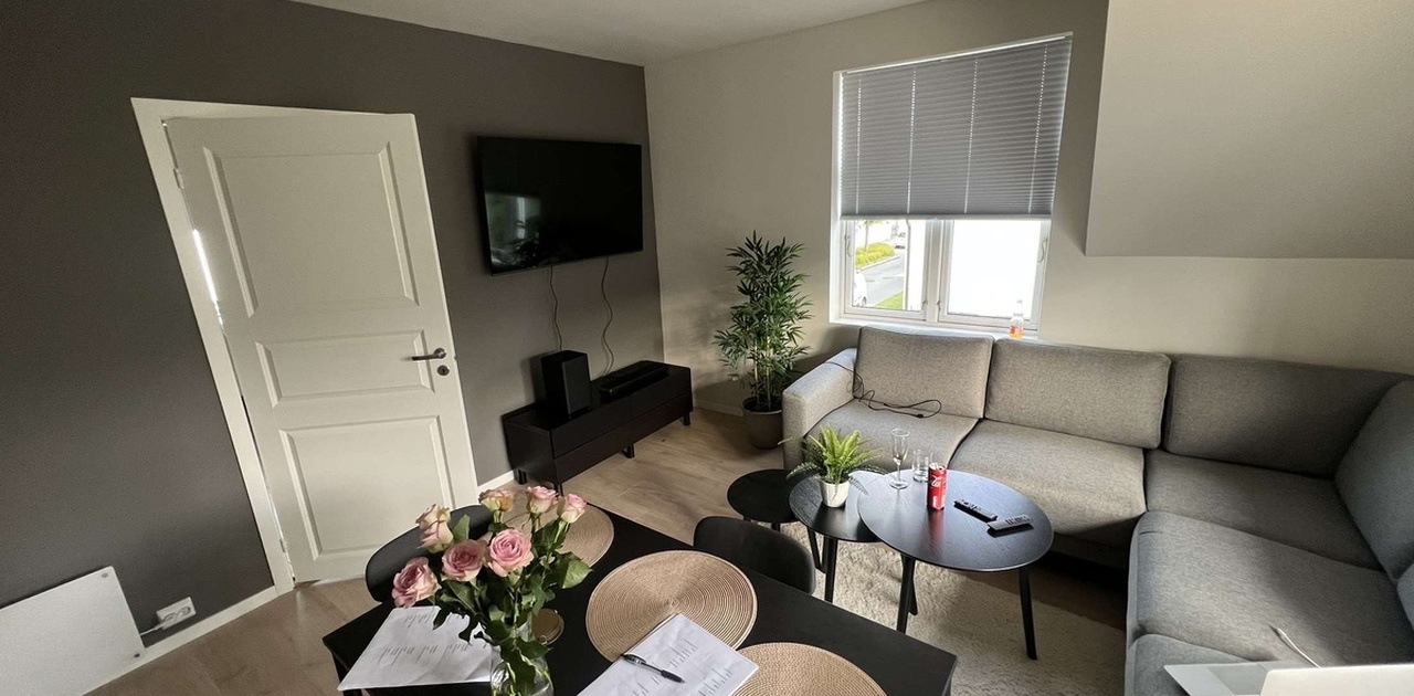 Totalrenovert bolig med sofakrok, TV og spisebord