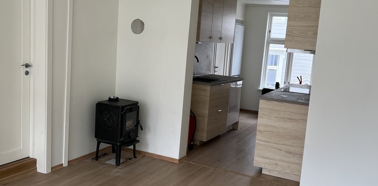 Stue/kjøkken