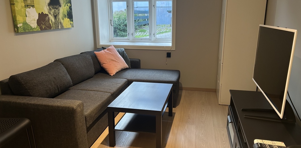 Stue med sovesofa