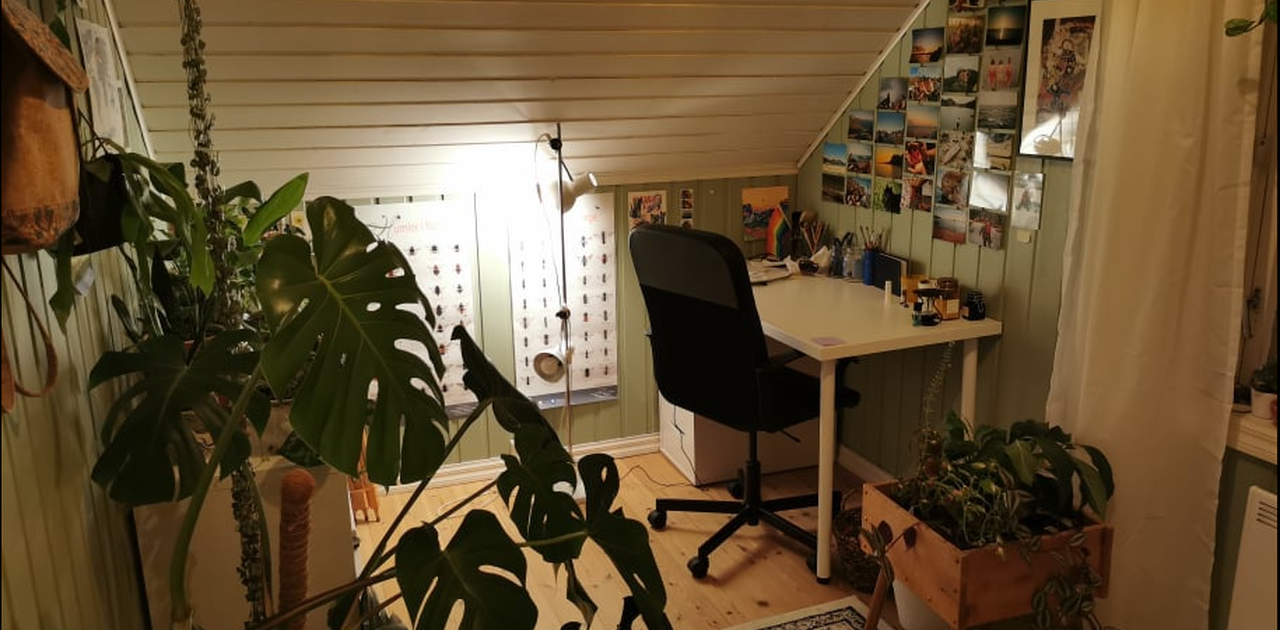 Soverom 2, loft