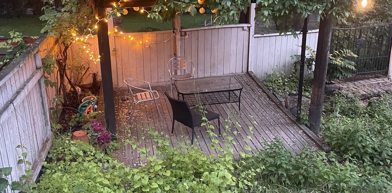 Pergolaen i hagen