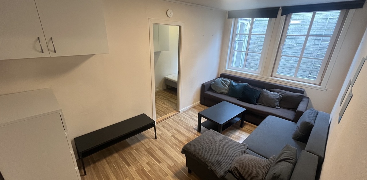 Privat: Alt du ser på bilde er ditt rom (du har 1 stort rom og et lite rom).
