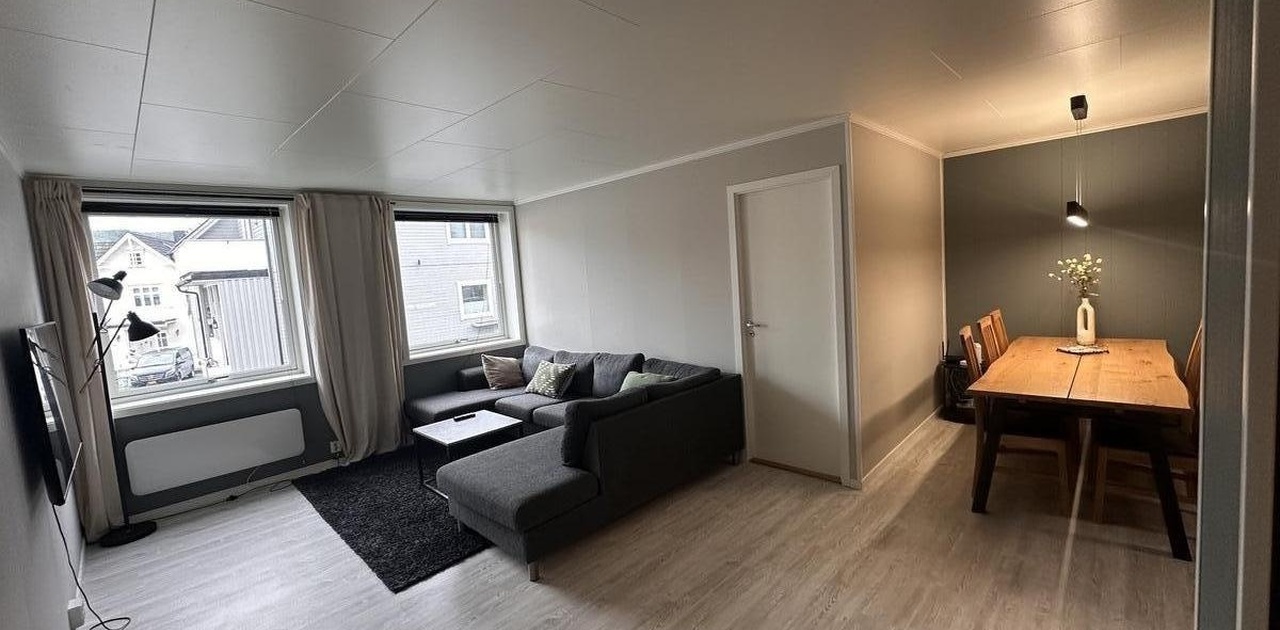 Lys og romslig stue, soverom 1 og spisebord. Romslig sofa, TV, stuebord, teppe og panelovn - alt følger med leiligheten!