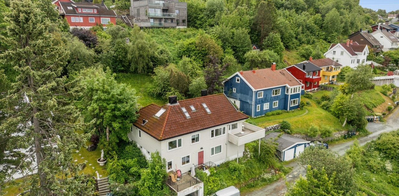 Bergstien 4