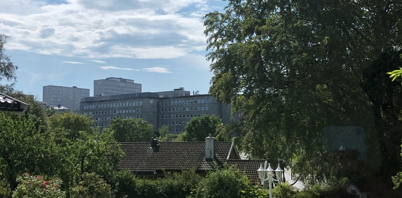 Hage med terrasse