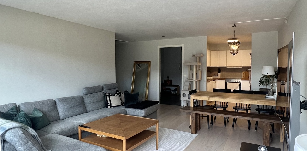 En 3 meters lang sofa og stor tv