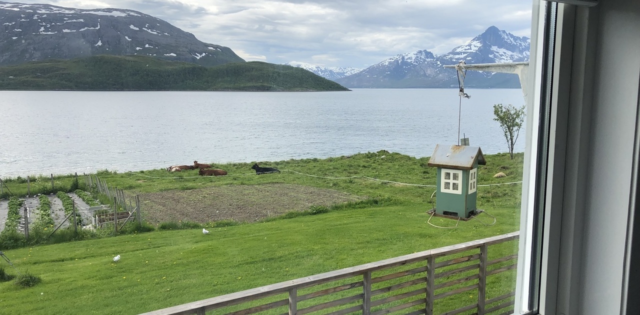 Fra kjøkkenvinduet i 1 etasje