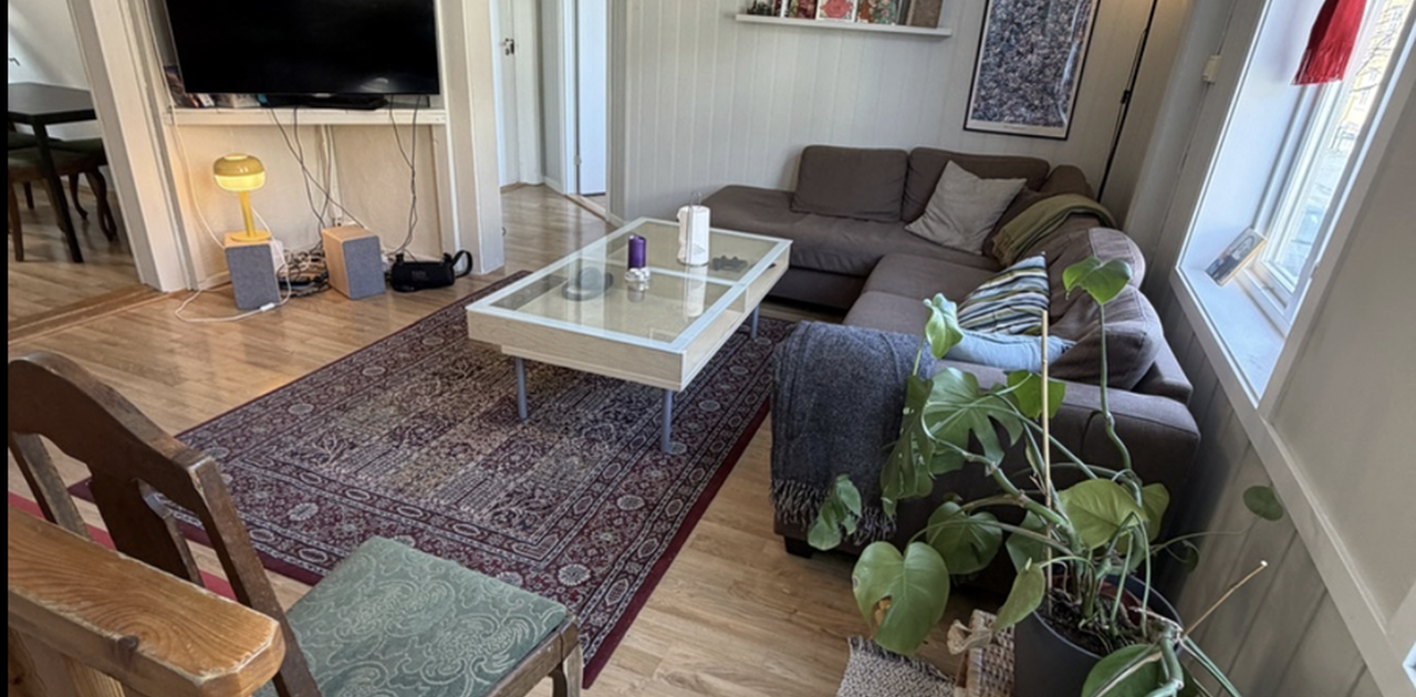 Stor og hyggelig stue
