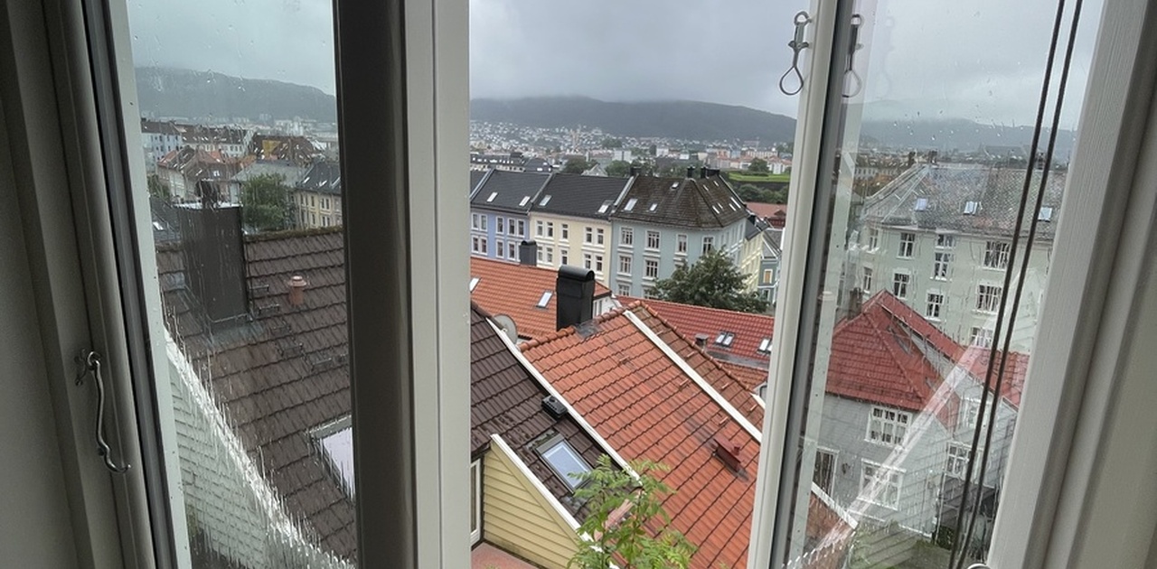 Utsikt fra kjøkken