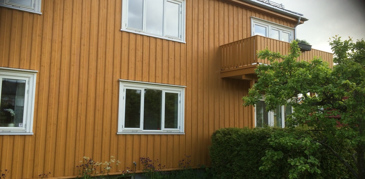 Hybelens vindu ut mot hage