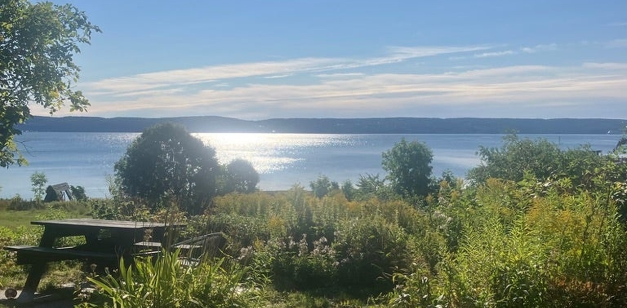 utsikt fra huset mot hagen