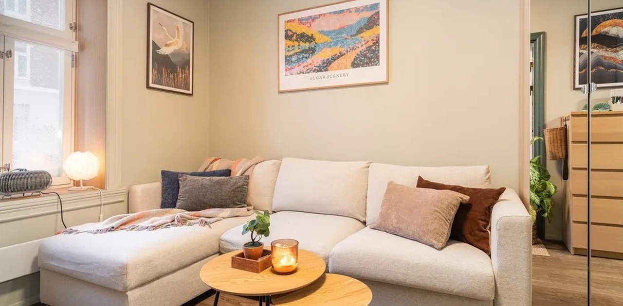 Stue som har rom for sovesofa eller seng